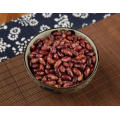 Kidney Beans Good For Kidneys